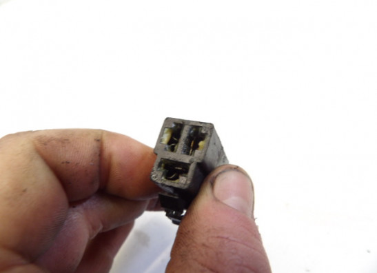 Dynamo Triumph Sprint RS