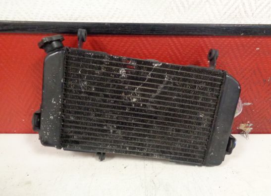 Radiateur Suzuki SV 650