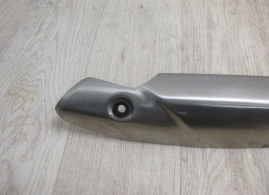 Auspuff Triumph Speed Triple 1050