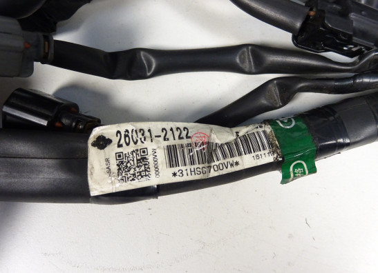 Wire Harness Kawasaki VERSYS 650