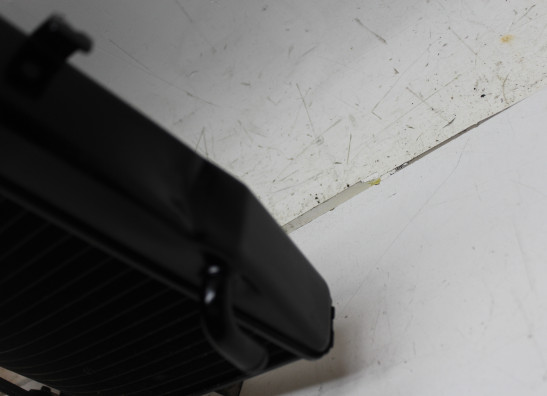 Radiateur Triumph Daytona 675 