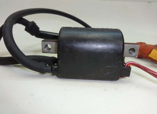 Zundspule Yamaha FZR 1000