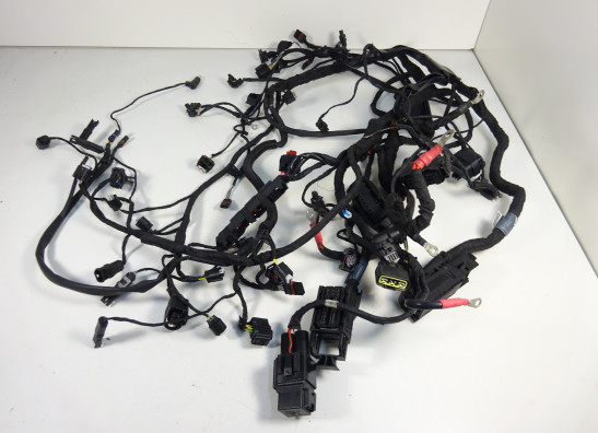 Kabelboom BMW R 1200 R