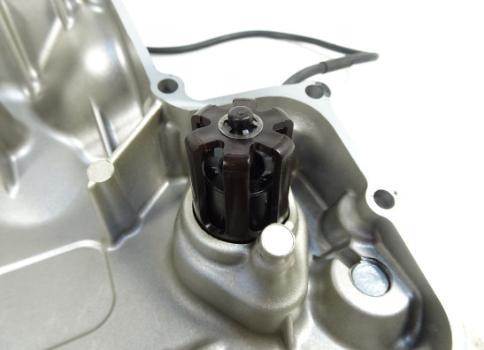 Oilpan Yamaha FZ1