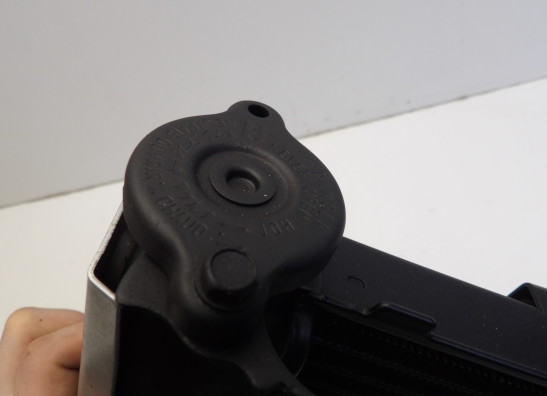 Radiateur Yamaha FZ6