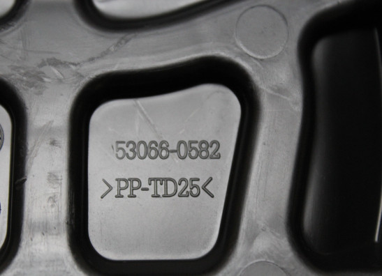 Soziussitz Kawasaki Z 900