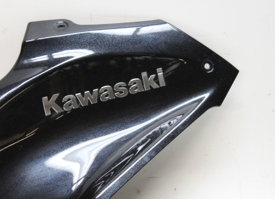 Tankcover Kawasaki Z 900
