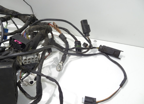 Kabelboom BMW F 650 GS