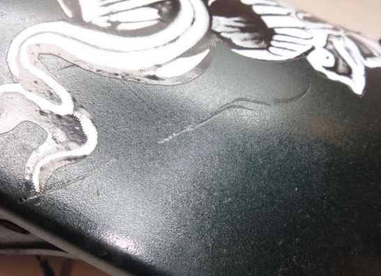 Hinterradabdeckung Kawasaki EL 250