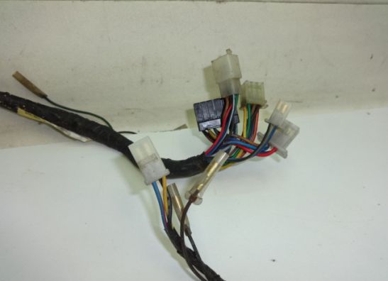 Kabelbaum Yamaha TDM