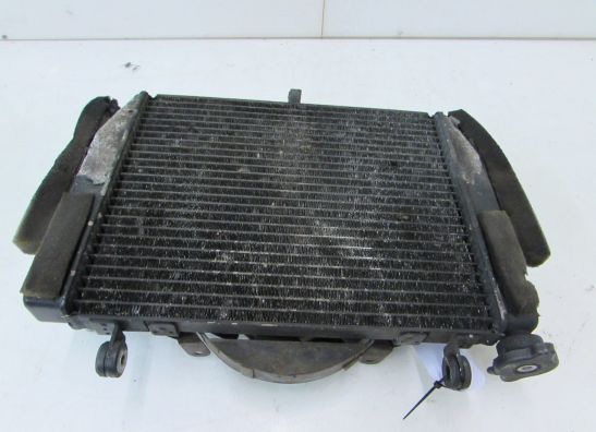 Radiator Yamaha YZF R6