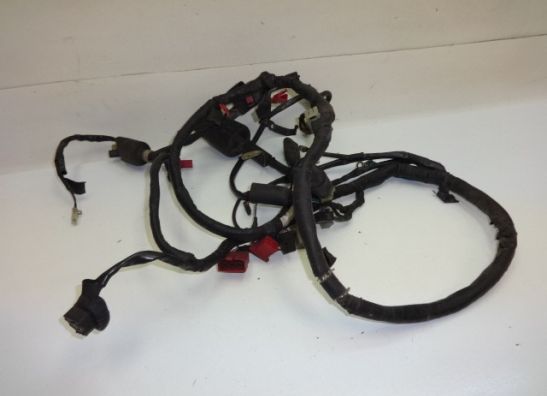 Wire Harness Honda VFR 750