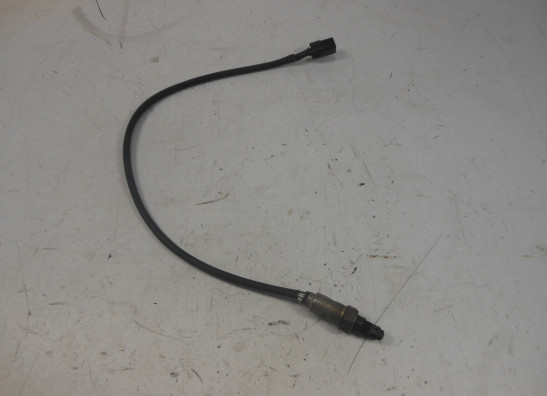 Lambda sensor KTM 1290  Super Adventure