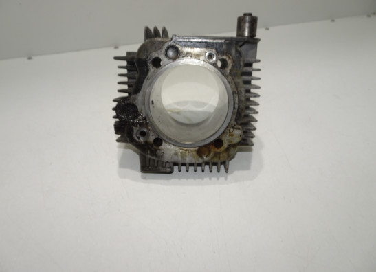 Cilinderblok Ducati monster 900