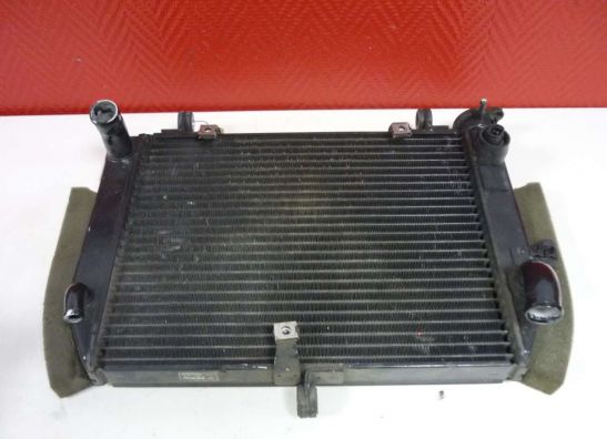 Radiateur Yamaha YZF R6