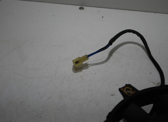 Ventilator Triumph 900 Daytona