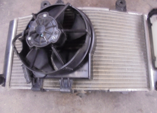 Radiateur BMW F 850 GS