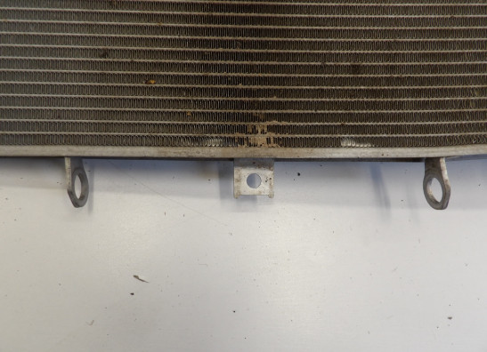 Radiator Kawasaki Z 1000 Sx