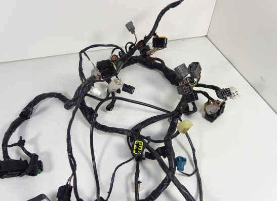 Kabelboom Kawasaki ER 6