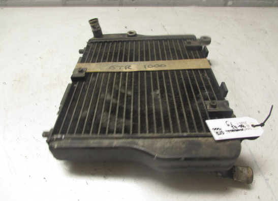 Kuhler Kawasaki GTR 1000