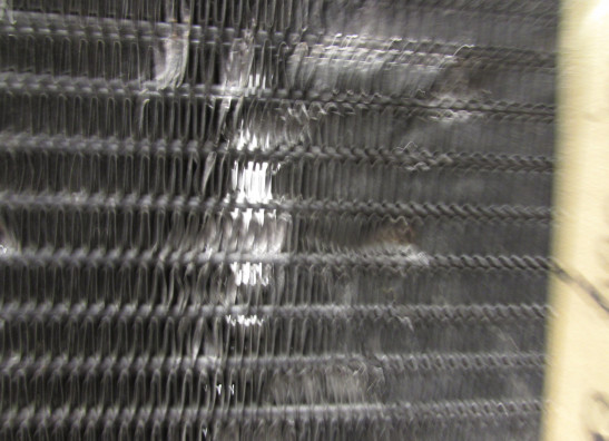 Kuhler Yamaha FZR 600