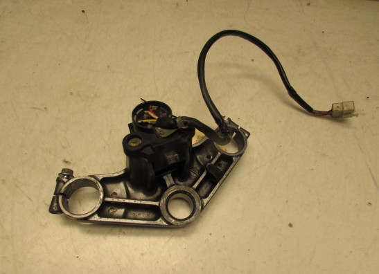 Kroonplaat Kawasaki ZZR 250