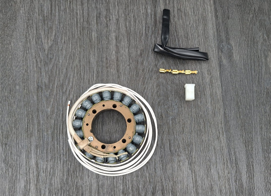 Lichtmaschine Yamaha TR1