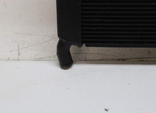 Radiateur Yamaha MT 09