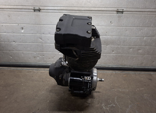 Motorblok Harley Davidson Softtail