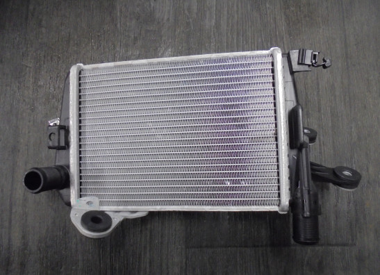 Radiateur BMW R 1250 GS 2021-2022