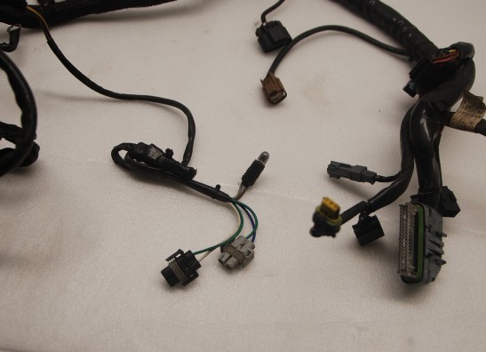 Kabelboom Harley Davidson VROD VRSC