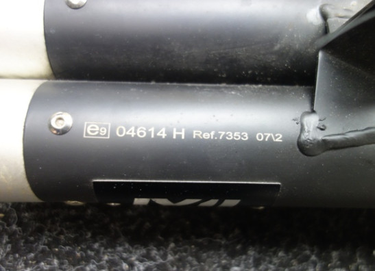 Sport auspuff Kawasaki Z 650