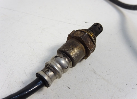 Lambda sensor Yamaha FZ6