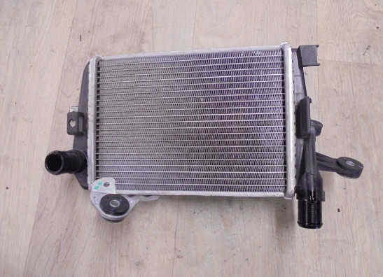 Kuhler BMW R 1200 GS LC