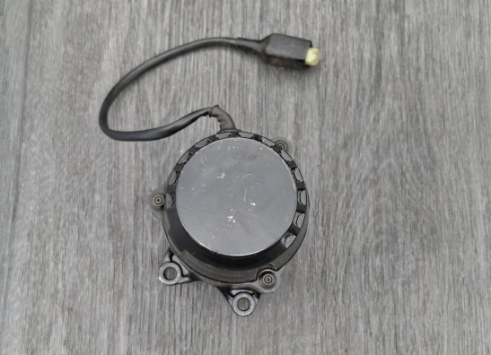 Dynamo Kawasaki ZZR 1100