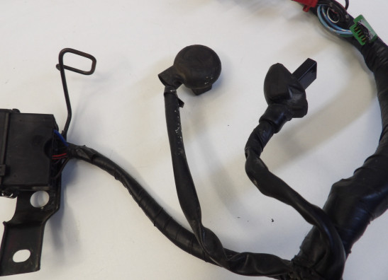 Kabelboom Honda CBR 600 F