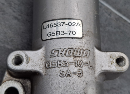 Voorpoot links onder Harley Davidson FLHR Road King