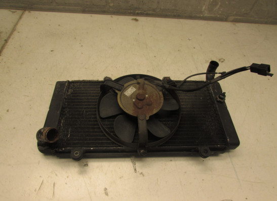 Radiateur Honda ST 1100 Pan European