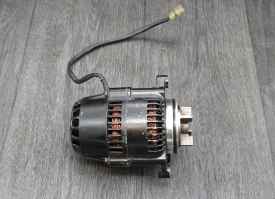 Dynamo Kawasaki ZL 900 Eliminator