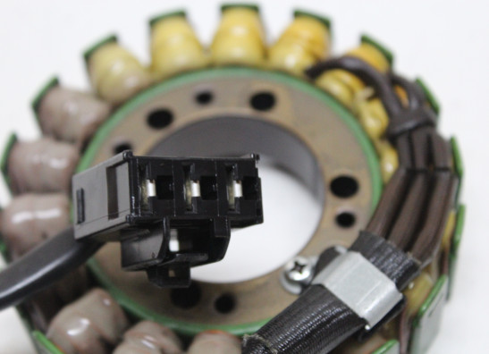 Dynamo Kawasaki Z 900