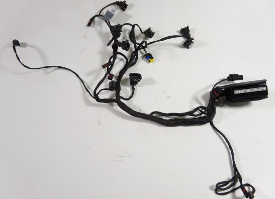 Wire Harness BMW F 800 S - ST