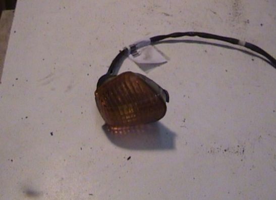 Winker left front Honda CBR 600 F