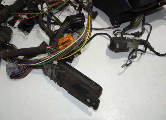 Kabelboom BMW R 850 GS