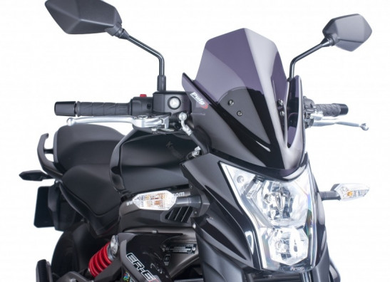 Wind screen Kawasaki ER 6