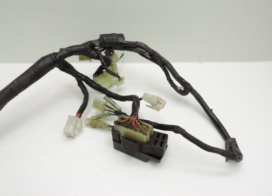 Kabelboom Yamaha YZF 600 Thundercat