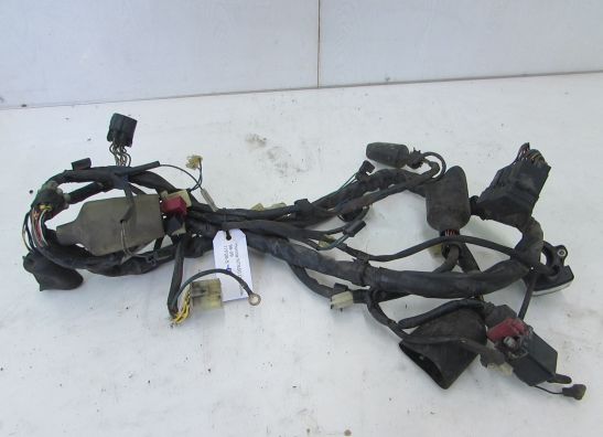 Wire Harness Honda Deauville 650 - 700