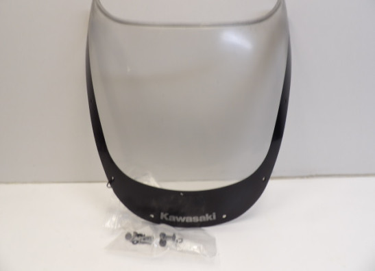 Wind screen Kawasaki ZX 9 R