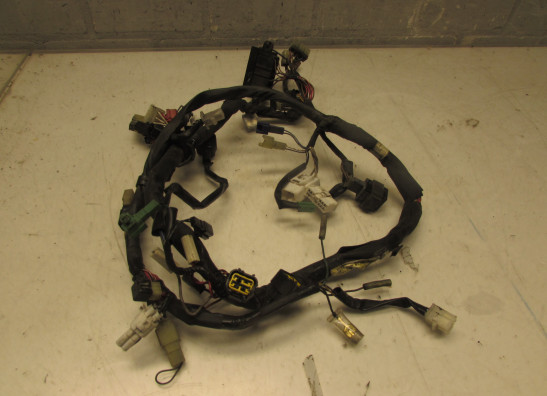 Wire Harness Yamaha FAZER 600