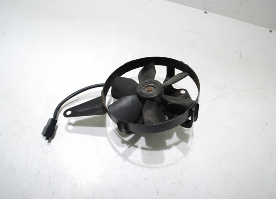 Fan Yamaha GTS 1000