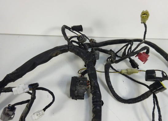 Wire Harness Kawasaki ER 6